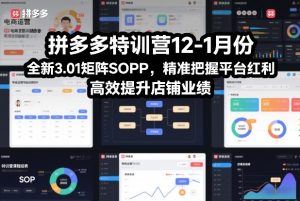 拼多多特训营12-1月份，全新3.01矩阵Sop，精准把握平台红利，高效提升店铺业绩-小鸿资源库