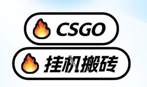 真全网独家CSGO挂G，最新玩法,单日捡漏1K+，不用电脑，不用打游戏【揭秘】-小鸿资源库