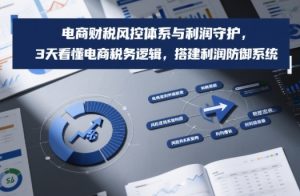 电商财税风控体系与利润守护，3天看懂电商税务逻辑，搭建利润防御系统-小鸿资源库