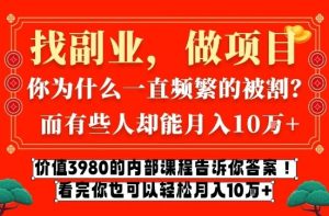 价值3980的网创内部课程，告诉你互联网创业月入10个W的秘密【揭秘】-小鸿资源库