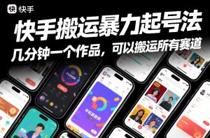 快手搬运暴力起号法，几分钟一个作品，手机就能做，可以搬运所有赛道-小鸿资源库