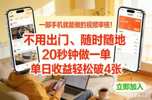一部手机就能做的视频审核！不用出门，随时随地，20秒钟做一单，单日收益轻松破4张【揭秘】-小鸿资源库
