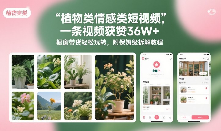 植物类情感类短视频，一条视频获赞36W+，橱窗带货轻松玩转，附保姆级拆解教程-小鸿资源库