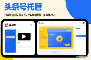 头条号AI托管，我提供视频，你发布，小白闭眼躺賺，最高月入5k+【揭秘】-小鸿资源库