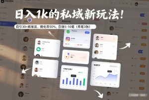 日入1k的私域新玩法：日引30+精准流，转化率50%，日销5-10笔（单笔3张）-小鸿资源库