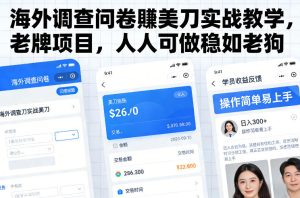 海外调查问卷賺美刀实战教学，老牌项目，人人可做稳如老狗-小鸿资源库