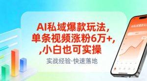 AI私域爆款玩法，单条视频涨粉6W+，小白也可实操-小鸿资源库