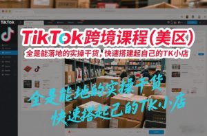 TikTok跨境课程（美区），全是能落地的实操干货，快速搭建起自己的TK小店-小鸿资源库