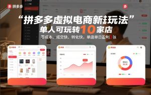 拼多多虚拟电商新玩法，单人可玩转10家店，零成本、成交快、转化快，单店单日盈利3张【揭秘】-小鸿资源库