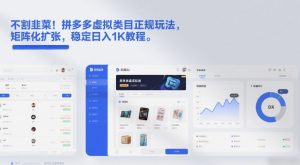 不割韭菜！拼多多虚拟类目正规玩法，矩阵化扩张，稳定日入1K教程【揭秘】-小鸿资源库