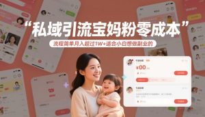 私域引流宝妈粉零成本流程简单月入超过1W+适合小白想做副业的-小鸿资源库