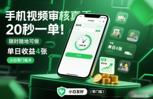 手机视频审核真香！20秒一单，随时随地可做，单日收益4张，小白零门槛冲【揭秘】-小鸿资源库