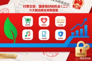 付费文章：国家看好的机会(二)：六大新消费及其新增量-小鸿资源库