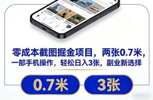 零成本截图掘金项目，两张0.7米，一部手机操作，轻松日入3张，副业新选择【揭秘】-小鸿资源库