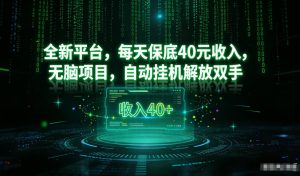 最新看广平台，每天保底30-4米，无脑项目，自动挂G解放双手【揭秘】-小鸿资源库