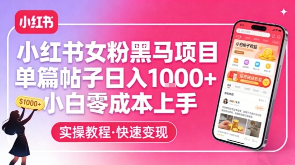 小红书女粉黑马项目，单篇帖子日入1k+，小白零成本上手-小鸿资源库