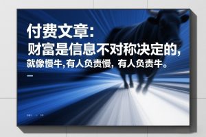 付费文章：财富是信息不对称决定的，就像慢牛，有人负责慢，有人负责牛-小鸿资源库