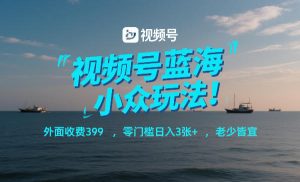 视频号蓝海小众玩法！外面收费399，零门槛日入3张+，老少皆宜-小鸿资源库