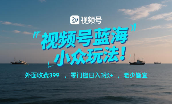 视频号蓝海小众玩法！外面收费399，零门槛日入3张+，老少皆宜-小鸿资源库