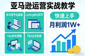 亚马逊运营实战教学，亚马逊平台+Listing优化+Vine秒杀+FBA发货等，快速上手，实现店铺月利润1W-小鸿资源库