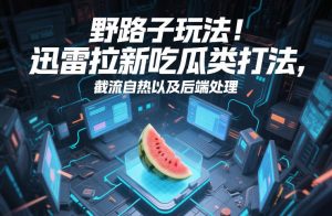 野路子玩法！迅雷拉新吃瓜类打法，截流自热以及后端处理-小鸿资源库