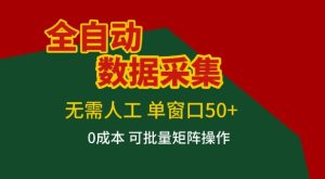 全自动数据采集项目，无需人工，单窗口可达50+收益，操作简单无难度，一个人也能轻松实现矩阵【揭秘】-小鸿资源库