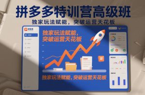 拼多多特训营高阶班，独家玩法赋能，突破运营天花板（更新26年3月13日）-小鸿资源库
