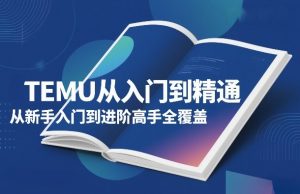 TEMU从入门到精通，从新手入门到进阶高手全覆盖-小鸿资源库