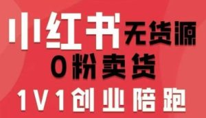 小红书无货源0粉电商课，开店准备、选品策略、笔记撰写、视频剪辑、数据分析、账号打造、资料文档（更新26年3月）-小鸿资源库