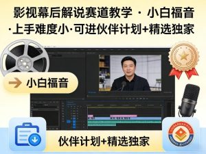 某大佬的影视幕后解说赛道教学，小白福音，上手难度小，可进伙伴计划+精选独家-小鸿资源库