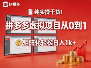 纯实操干货！拼多多虚拟项目从0到1，矩阵化轻松日入1k+【揭秘】-小鸿资源库