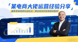 某电商大佬运营经验分享，最新系统电商实战玩法，跳出低毛利实现高效盈利（更新）-小鸿资源库