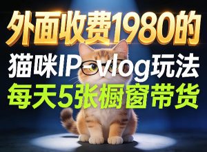 宠物赛道猫咪IP-vlog玩法,26条视频涨粉29W,每天5张橱窗带货拆解-小鸿资源库