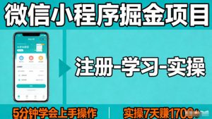 微信小程序掘金项目，项目很简单，5分钟就能学会上手操作，实操7天賺了1700+【揭秘】-小鸿资源库