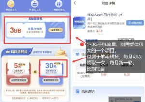 手机流量领取推广_每月一轮，刚需类的长期项目-小鸿资源库