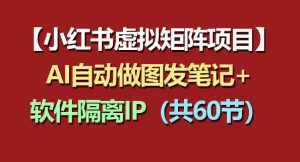 小红书虚拟矩阵项目：软件隔离IP+AI自动做图发笔记（共60节）-小鸿资源库