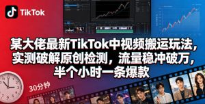 某大佬最新TikTok中视频搬运玩法，实测破解原创检测，流量稳冲破万，半个小时一条爆款-小鸿资源库