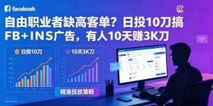 自由职业者缺高客单？日投10刀搞FB+INS广告，有人10天赚3K刀！【原创双语字幕】-小鸿资源库