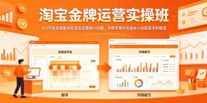 淘宝金牌运营实操班，从0开始系统解决你淘宝运营核心问题，手把手带你完成从小白到高手的蜕变-小鸿资源库