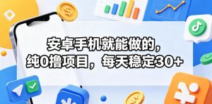 安卓手机就能做的，纯0撸项目，每天稳定30+-小鸿资源库