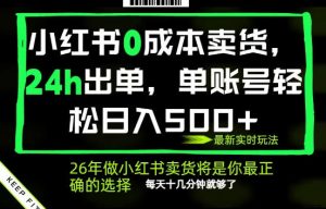 小红书0成本AI卖货，24小时出单，全流程托管，保底日入500+，每天十几分钟就够了【揭秘】-小鸿资源库