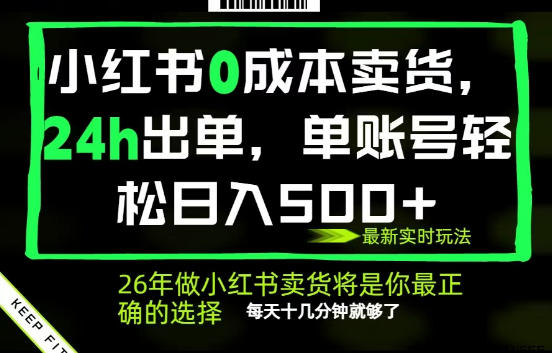 小红书0成本AI卖货，24小时出单，全流程托管，保底日入500+，每天十几分钟就够了【揭秘】-小鸿资源库
