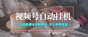 视频号自动挂G项目，自动化脚本省时省力，手工单价更高，日入300+全网最稳【揭秘】-小鸿资源库