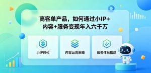 高客单产品，如何通过小IP+内容+服务变现年入六干W-小鸿资源库