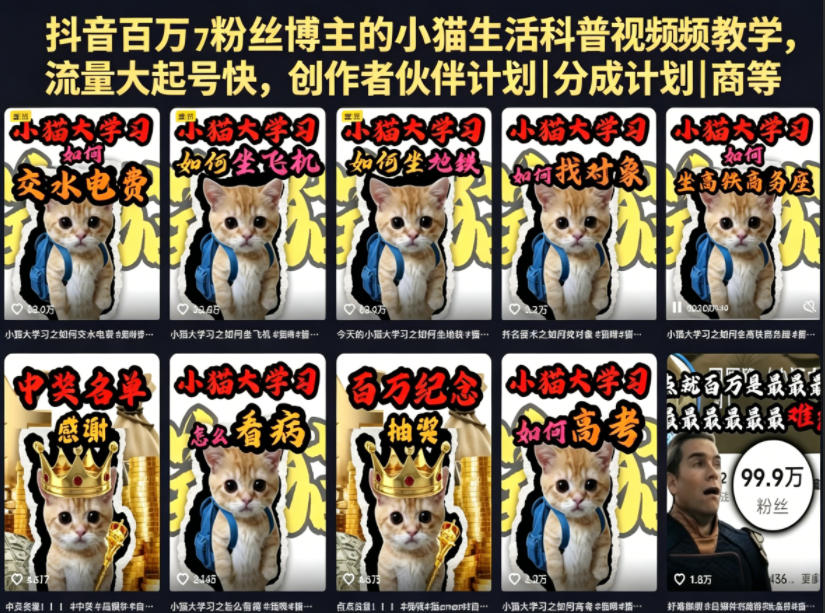 抖音百万粉丝博主的小猫生活科普视频教学，流量大起号快，创作者伙伴计划|分成计划|商单|收徒等-小鸿资源库