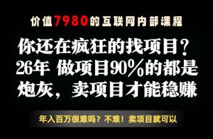 26年请不要疯狂的找项目了,卖项目远比你想象的暴利,你也可以月入10W+【揭秘】-小鸿资源库