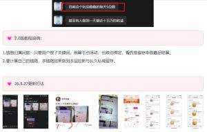 KS项目2.0期-拆本周结1W项目思路，几张图撬动流量群体，真的生猛-小鸿资源库