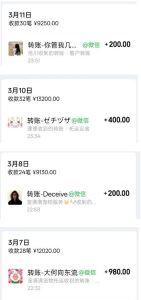 宠物托运阳光赛道賺钱教学，小众高刚需冷门项目，日均10单稳定盈利，单均利润200+-小鸿资源库