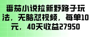 番茄小说拉新野路子玩法，无脑怼视频，玩法简单、见效快，每单10米，40天收益27950-小鸿资源库