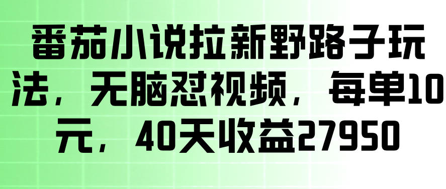 番茄小说拉新野路子玩法，无脑怼视频，玩法简单、见效快，每单10米，40天收益27950-小鸿资源库